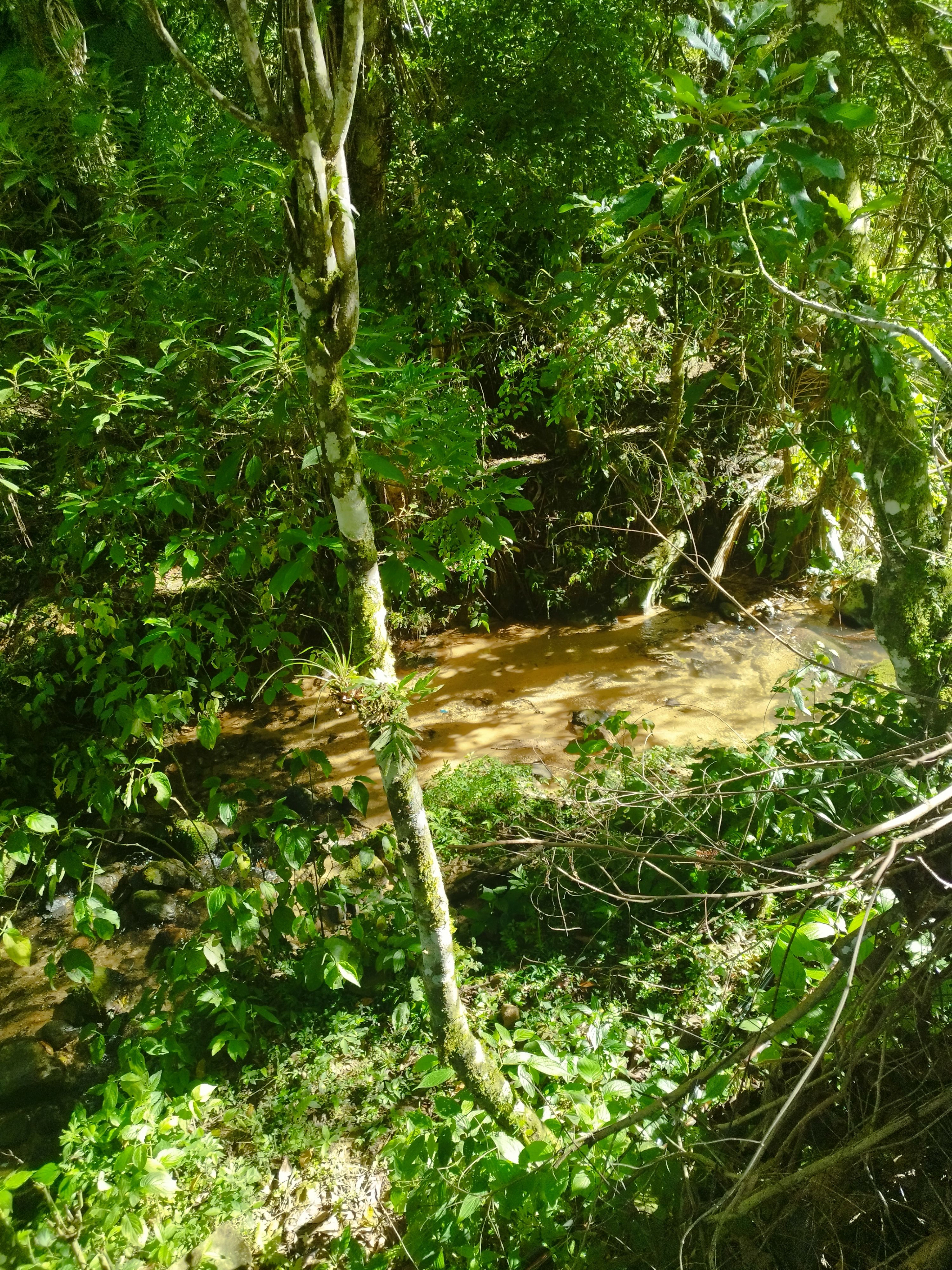 Terreno, 657 m² - Foto 14