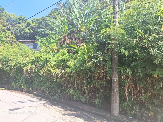 Terreno com 584m², à venda, no bairro Copacabana em São Paulo