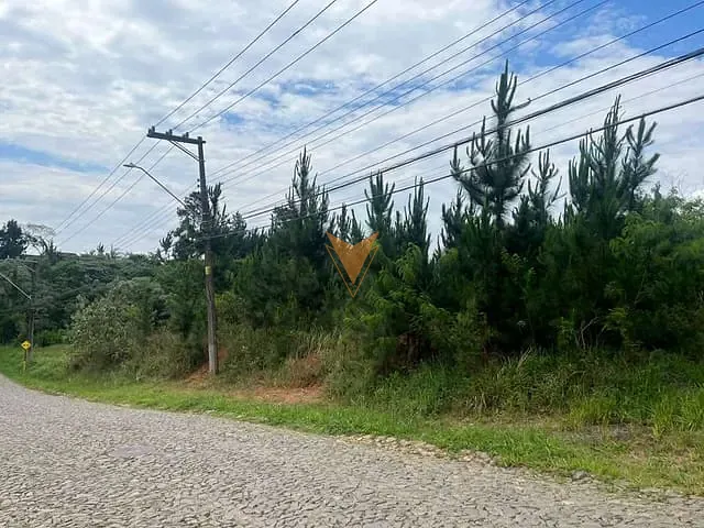 Terreno com 4973m², à venda, no bairro Paisagem Renoir em Cotia