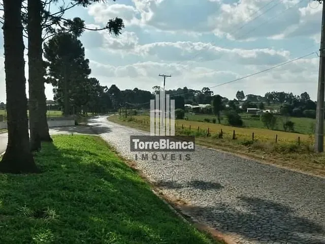 Terreno com 503m², à venda, no bairro Centro em Carambei