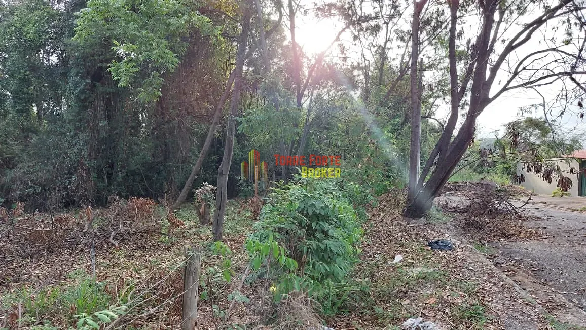 Terreno, 770 m² - Foto 11