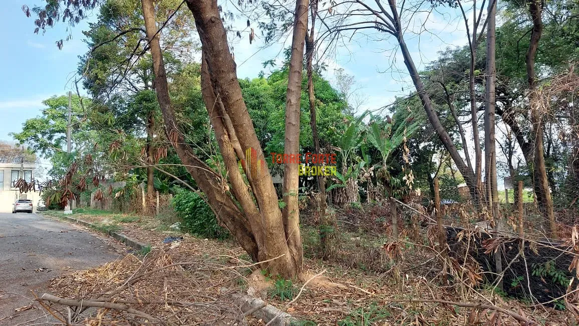Terreno, 770 m² - Foto 10