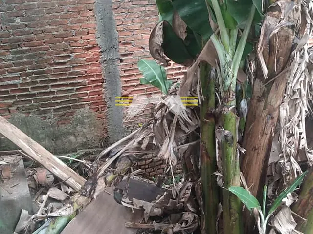 Terreno com 252m², à venda, no bairro Jardim Vila Formosa em São Paulo