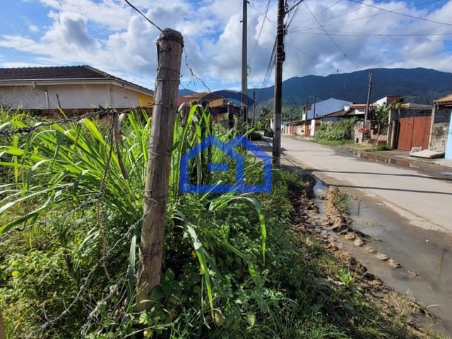 Foto do Terreno - Terreno Lote Inteiro à Venda no bairro Perequê Mirim em Caraguatatuba, SP - Com Área Generosa de 330m² | Área 12 imóveis