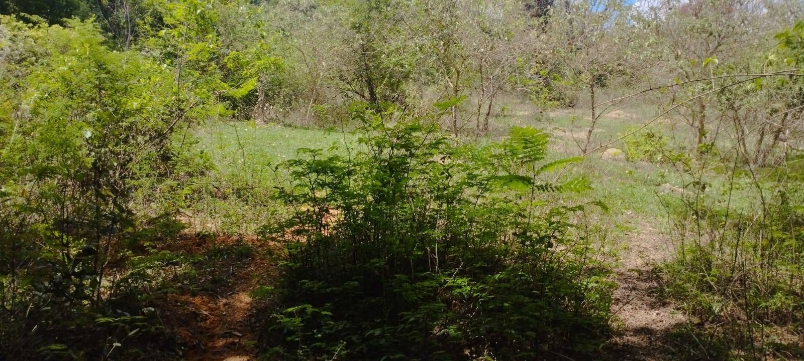 Terreno, 5600 m² - Foto 1