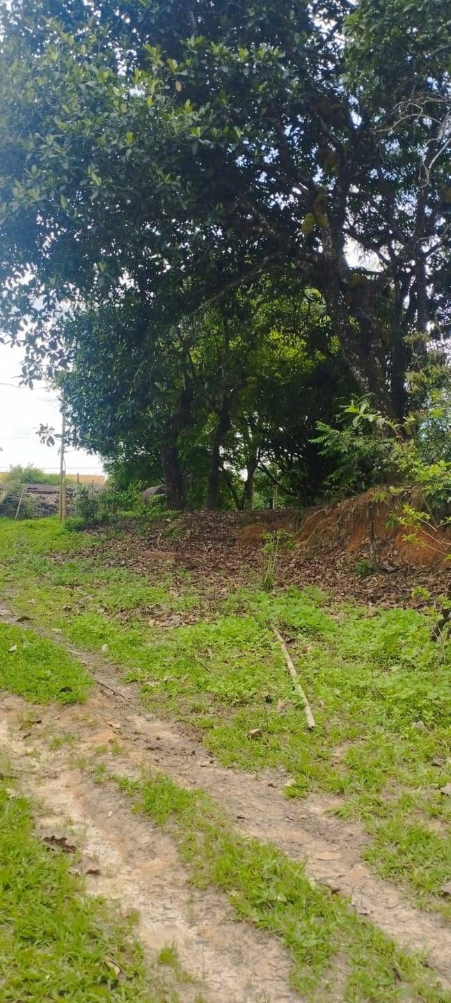 Terreno, 5600 m² - Foto 6