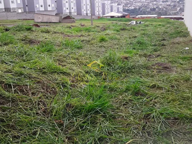 Terreno com 375m², à venda, no bairro Colinas em Londrina