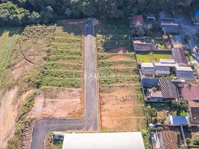 Terreno com 223m², à venda, no bairro Jardim das Palmeiras em Campo Largo