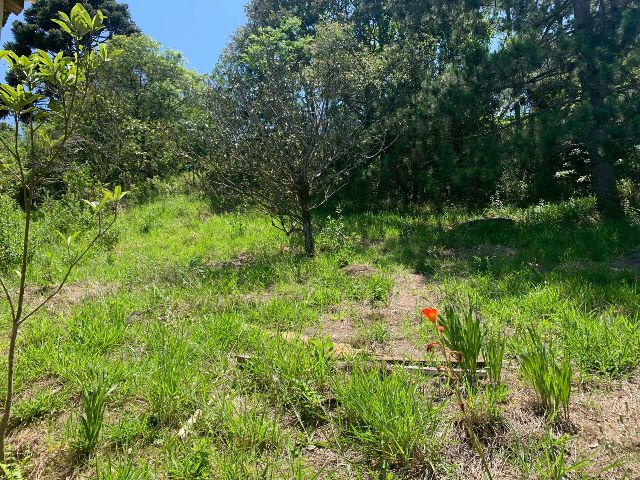 Foto do Terreno - Terreno Cercado de Alambrado em Condomínio Fechado à venda, Bairro Carafá, Votorantim, SP | Borges & Ferreira Imóveis