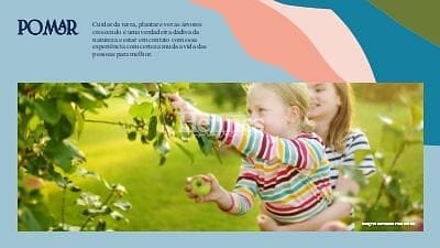 Terreno, 250 m² - Foto 35