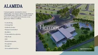 Terreno, 250 m² - Foto 9