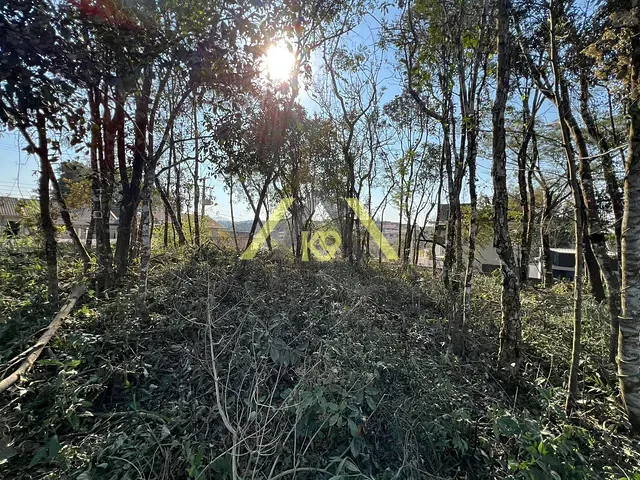 Terreno com 1000m², à venda, no bairro Embu em Colombo