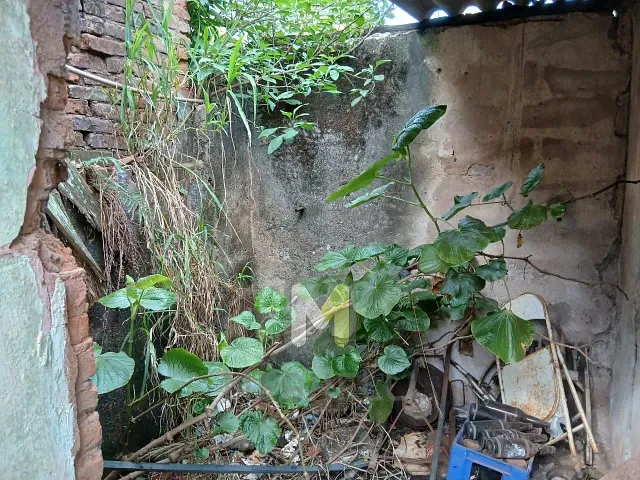 Terreno com 530m², à venda, no bairro Centro em Serrana