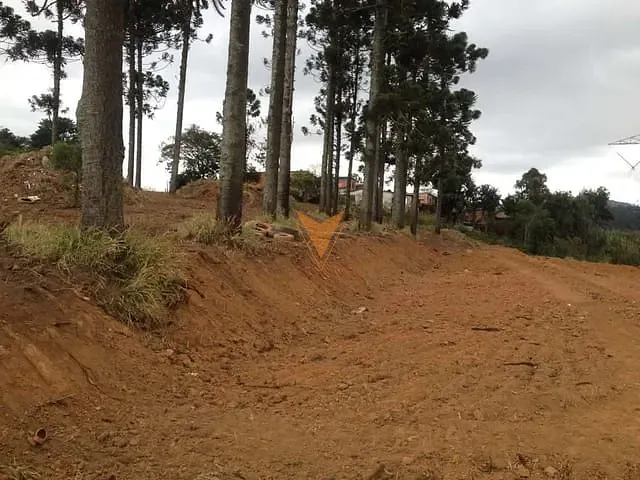Terreno com 2743m², à venda, no bairro Jardim Sandra em Cotia
