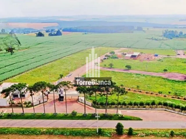 Terreno com 503m², à venda, no bairro Centro em Carambei