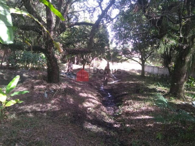 Terreno com 6866m², à venda, no bairro Crispim em Pindamonhangaba