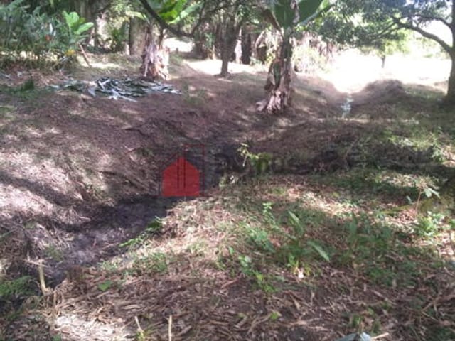 Terreno com 6866m², à venda, no bairro Crispim em Pindamonhangaba