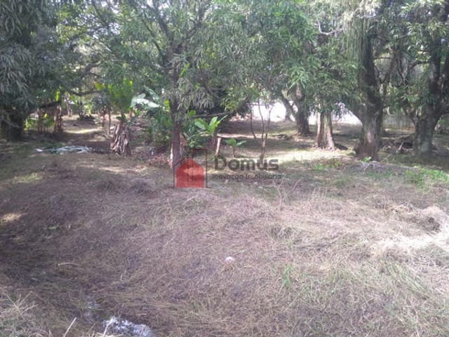 Terreno com 6866m², à venda, no bairro Crispim em Pindamonhangaba