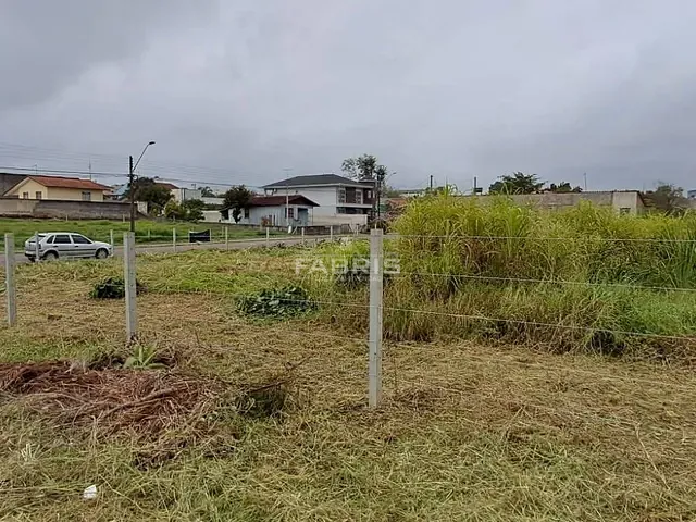 Terreno com 6453m², à venda, no bairro Ouro Verde em Campo Largo