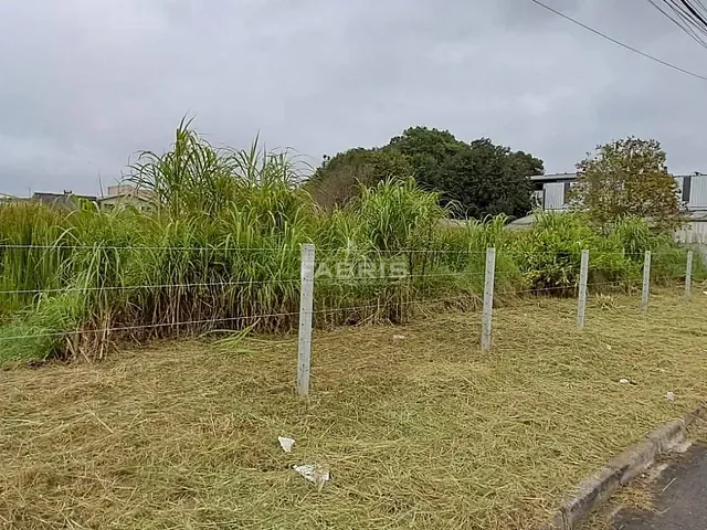 Terreno com 6453m², à venda, no bairro Ouro Verde em Campo Largo