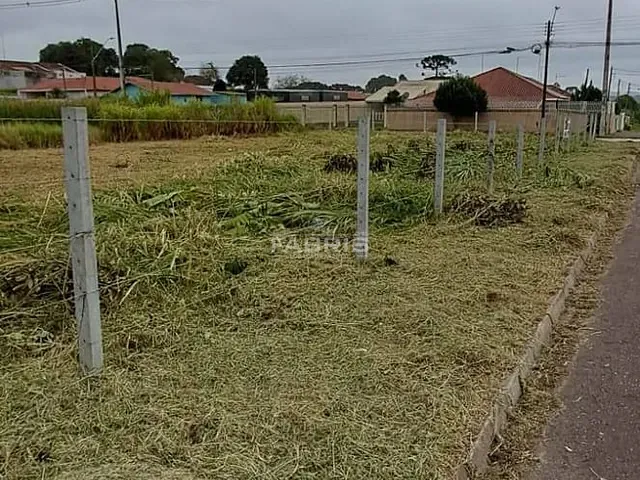 Terreno com 6453m², à venda, no bairro Ouro Verde em Campo Largo