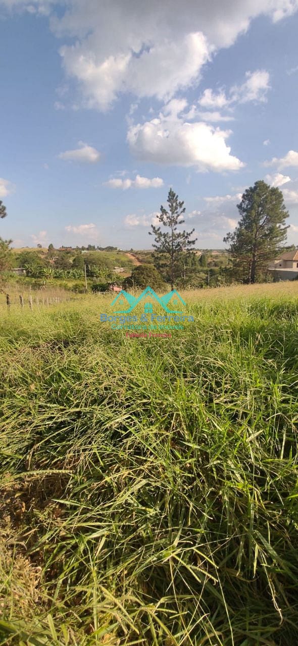 Terreno, 1500 m² - Foto 12