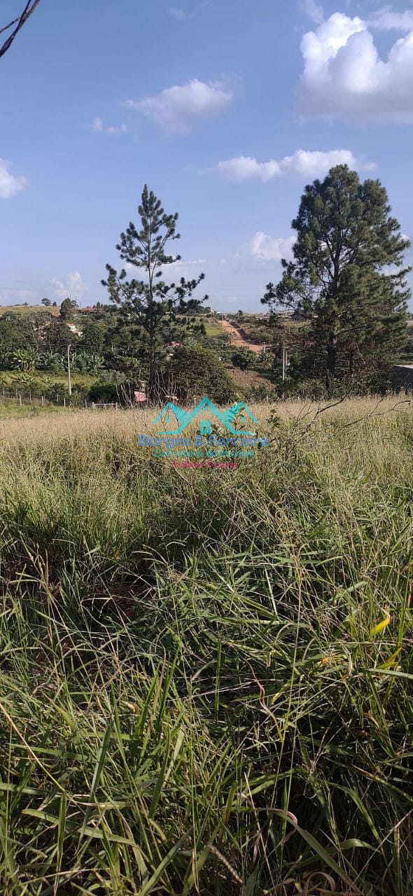 Terreno, 1500 m² - Foto 11