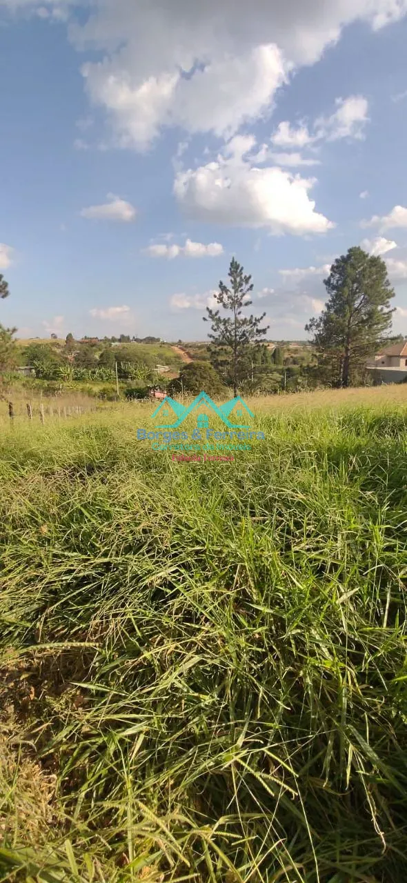 Terreno, 1500 m² - Foto 12
