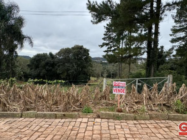 Terreno com 401m², à venda, no bairro sagrada familia em Nova Prata