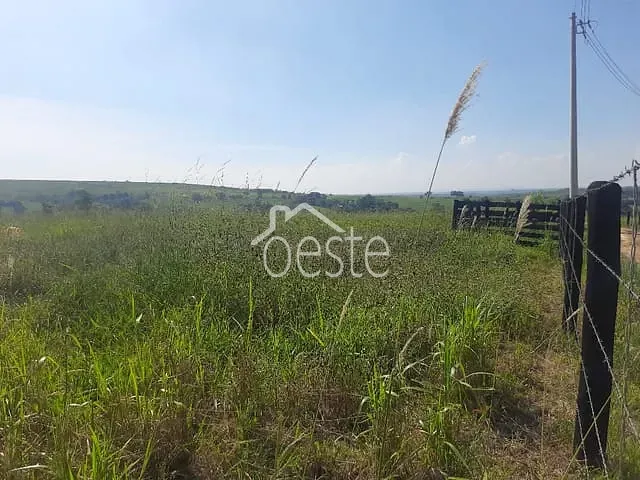 Terreno com 30000m², à venda, no bairro Centro em Santa Bárbara D'Oeste