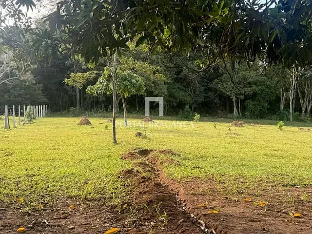 Terreno com 20000m², à venda, no bairro Bairro do Menin em Bragança Paulista