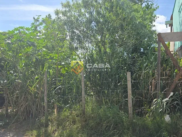 Terreno com 300m², à venda, no bairro Nova Carapina II em Serra