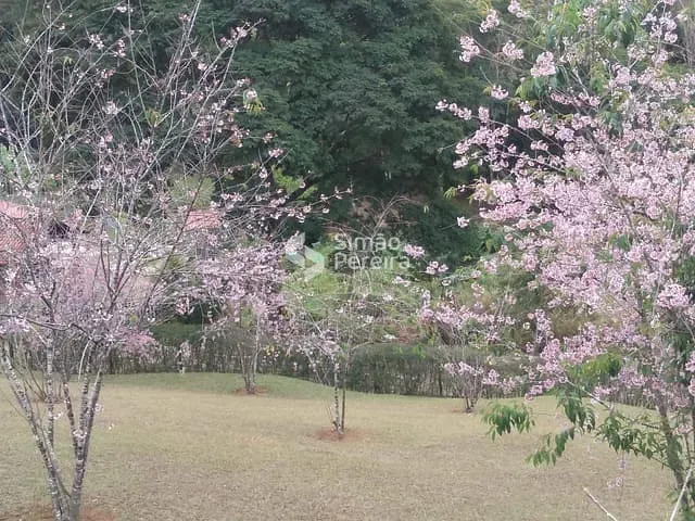Terreno com 5040m², à venda, no bairro Balança em Simão Pereira