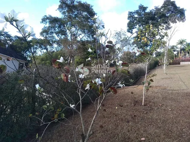 Terreno com 5040m², à venda, no bairro Balança em Simão Pereira