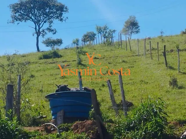Terreno com 8900m², à venda, no bairro Anhumas em Córrego do Bom Jesus