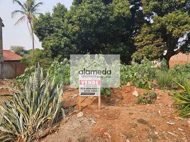 Terreno com 390m², à venda, no bairro VILA SILAS em Jacarezinho