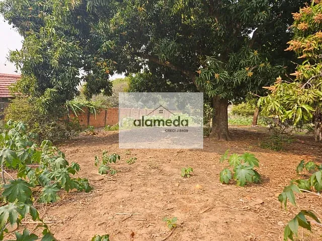Terreno com 390m², à venda, no bairro VILA SILAS em Jacarezinho