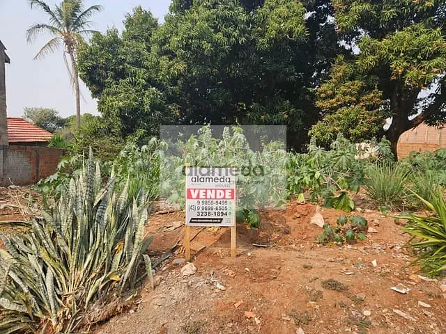 Terreno com 390m², à venda, no bairro VILA SILAS em Jacarezinho
