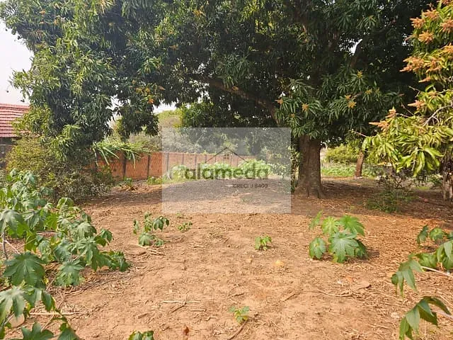 Terreno com 390m², à venda, no bairro VILA SILAS em Jacarezinho