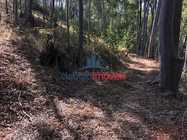 Terreno à venda, no bairro Colônia Santo Antônio em Barra Mansa