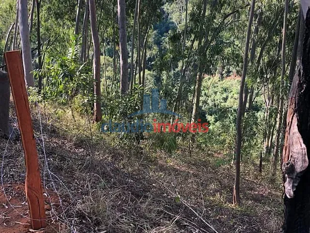 Terreno à venda, no bairro Colônia Santo Antônio em Barra Mansa