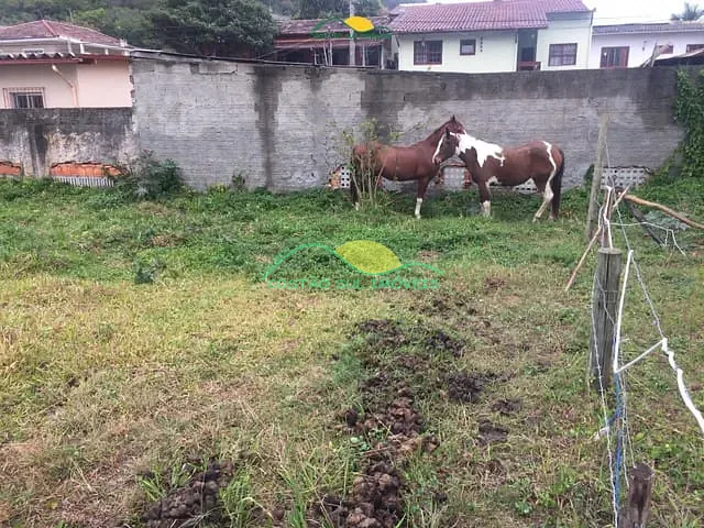 Terreno com 81006m², à venda, no bairro Pântano do Sul em Florianópolis