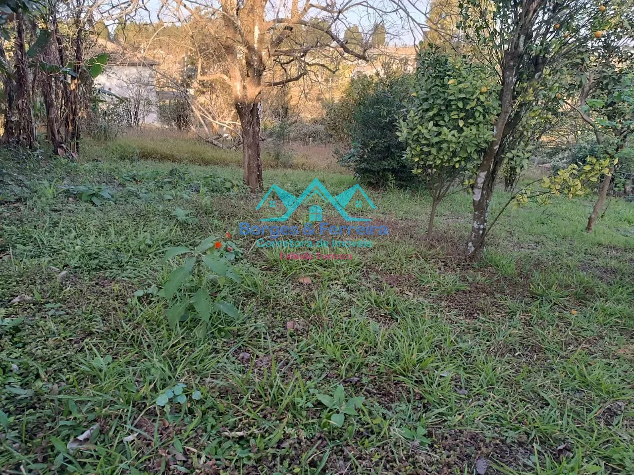 Terreno, 1500 m² - Foto 1