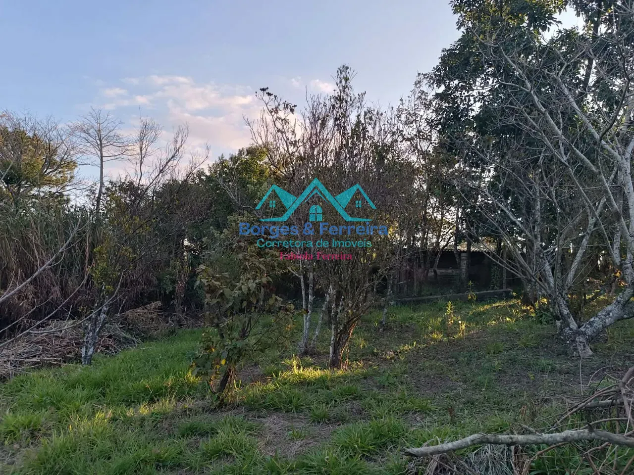 Terreno, 1500 m² - Foto 12