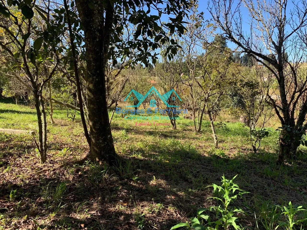 Terreno, 1500 m² - Foto 7