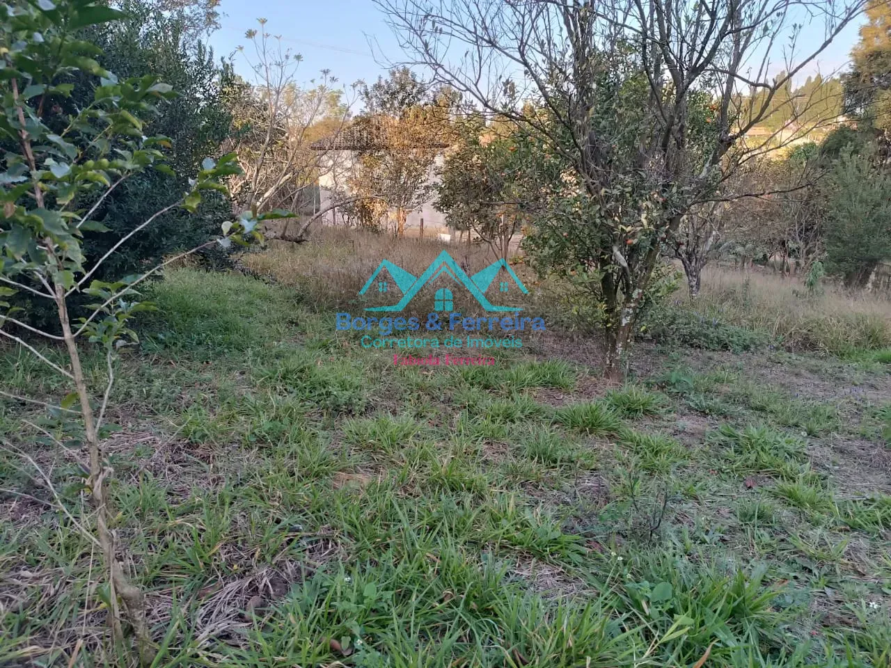 Terreno, 1500 m² - Foto 11
