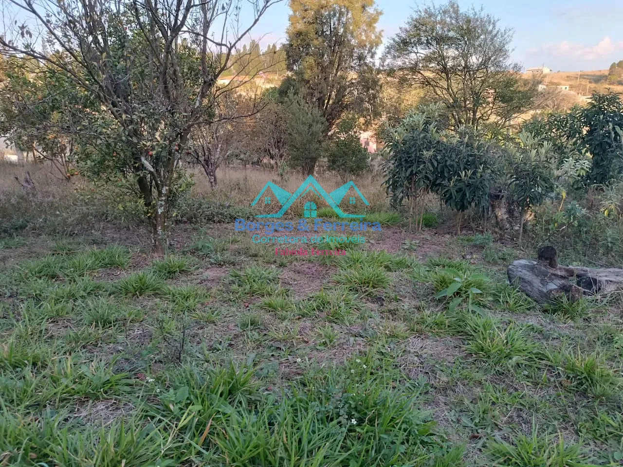 Terreno, 1500 m² - Foto 5
