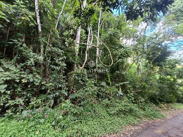 Terreno com 4010m², à venda, no bairro Vargem Grande em Teresópolis