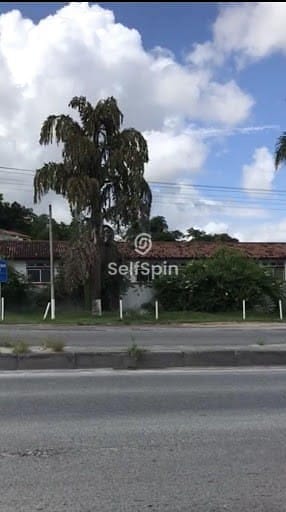 Terreno, 6500 m² - Foto 2