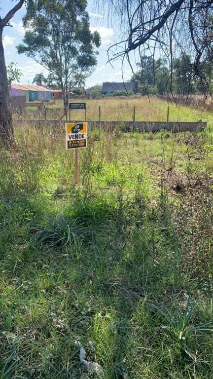 Terreno à venda na BR 293,em Capão do Leão - com uma área total de 2.475 m² e frente de 25 metros.